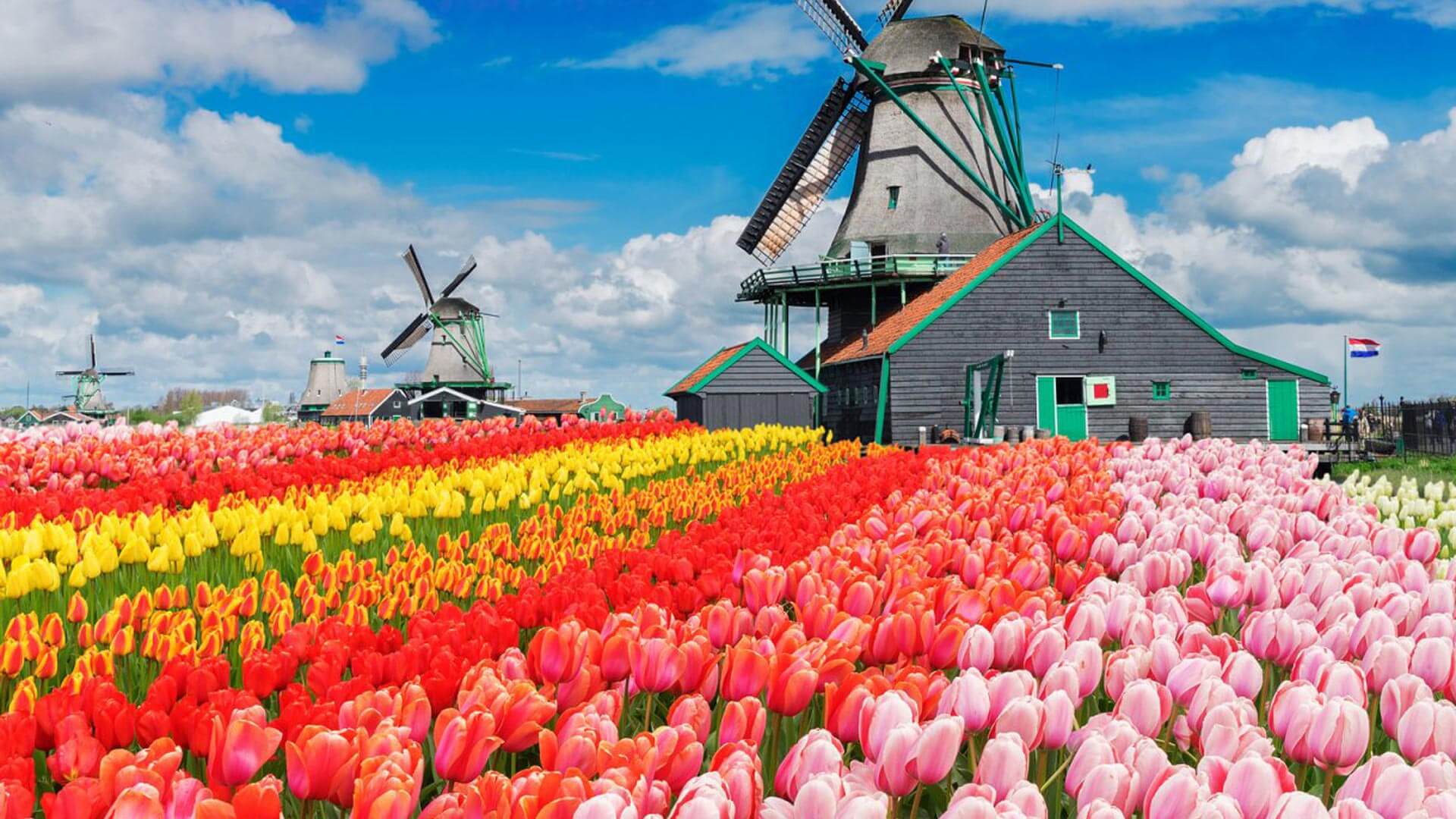 Netherlands Amsterdam Al Mutawa Travel And Tourism